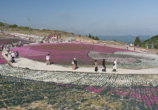 201305250819-DSC01691.jpg