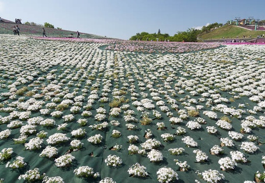 201305250829-DSC01723.jpg