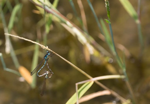 201305251213-DSC01814.jpg