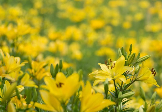 201306060959-DSC02272.jpg