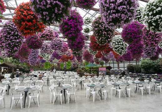 201306061306-DSC03150N.jpg