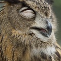 201306061313-DSC02467.jpg