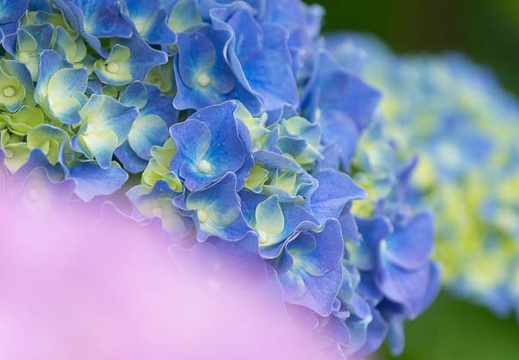 201306110900-DSC02648.jpg