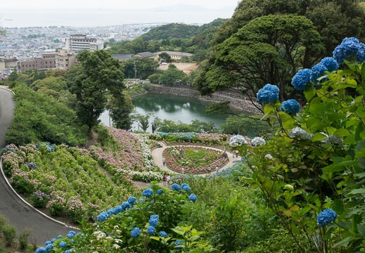 201306111012-DSC03421N.jpg