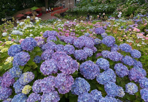 201306111142-DSC02838.jpg