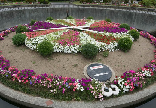 201306111329-DSC03521N.jpg