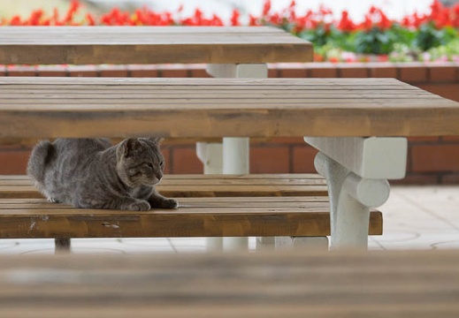 201306111644-DSC02919.jpg