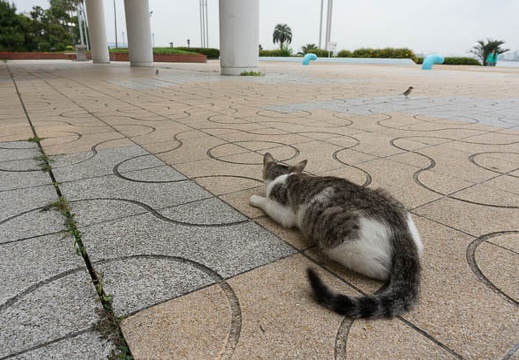 201306111650-DSC03571N.jpg