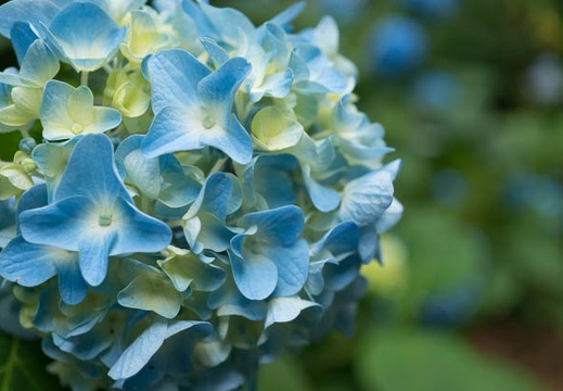 201306121340-DSC03580N.jpg