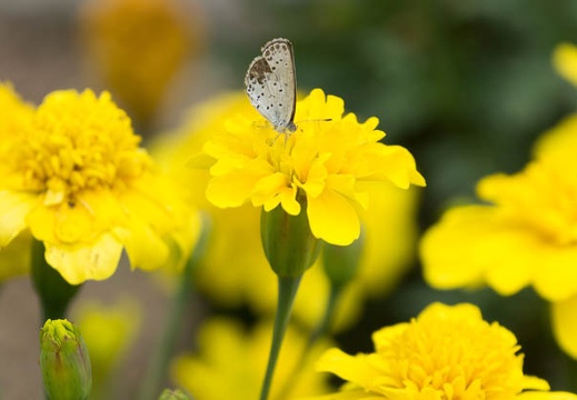201306121412-DSC02995.jpg
