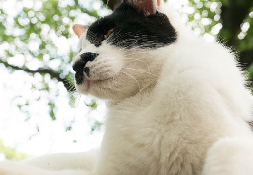 201306121430-DSC03615N.jpg