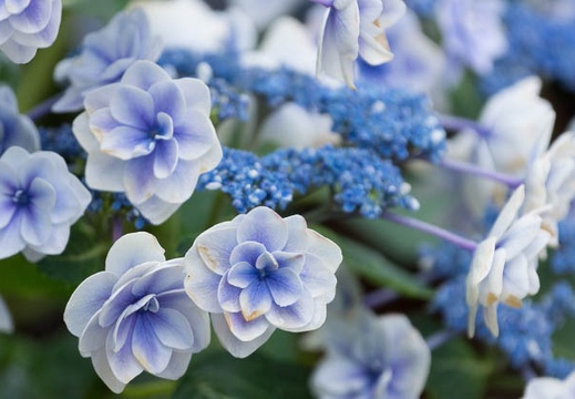 201306130855-DSC03101.jpg