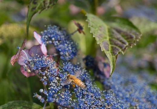 201306130918-DSC03744N.jpg