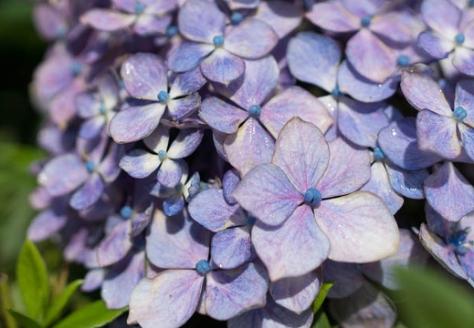 201306130926-DSC03173.jpg