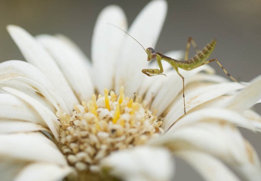201306181330-DSC03377.jpg