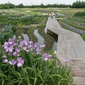 201306181352-DSC03766N.jpg