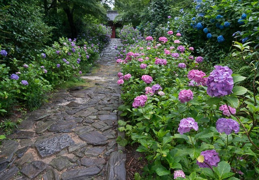 201306200810-DSC03808N.jpg