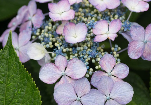 201306200849-DSC03818.jpg