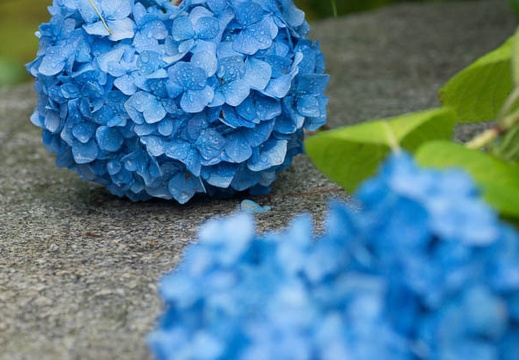 201306200851-DSC03820.jpg