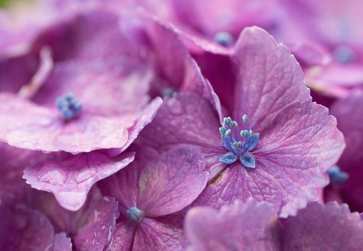 201306200916-DSC03881.jpg