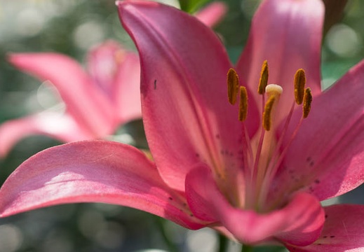 201306230841-DSC04213.jpg