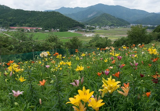 201306231030-DSC03963N.jpg
