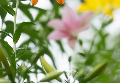 201306231107-DSC04563.jpg