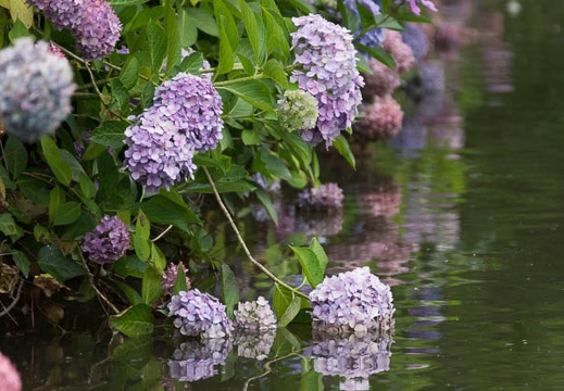 201306271222-DSC04774.jpg