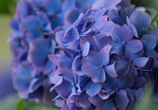 201306271225-DSC04783.jpg