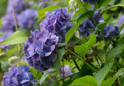 201307051448-DSC05103.jpg
