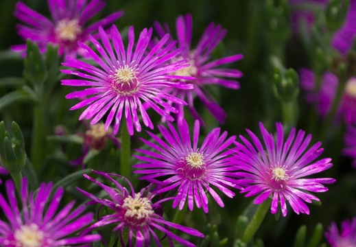 201307051502-DSC05110.jpg