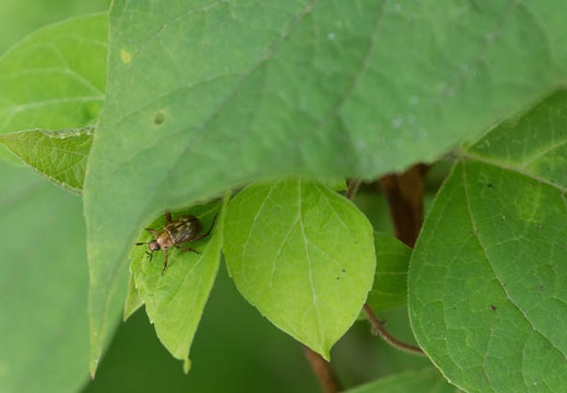 201307051507-DSC05114.jpg