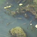 201307060957-DSC05206.jpg