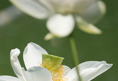 201307121134-DSC05696.jpg