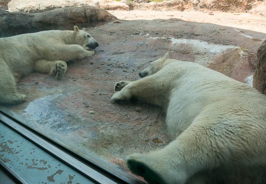 201307121315-DSC04267N.jpg