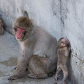 201307121323-DSC05793.jpg