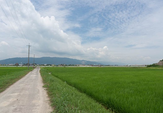 201307161118-DSC04309N.jpg