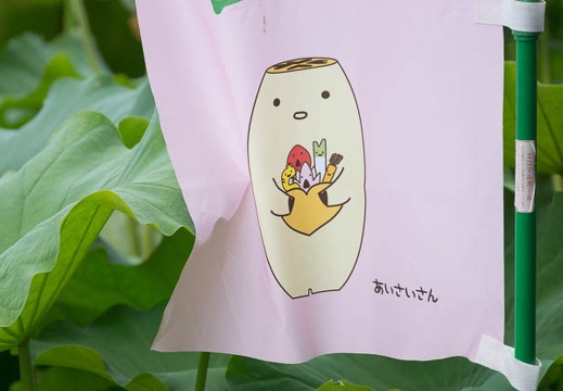 201307161155-DSC05999.jpg