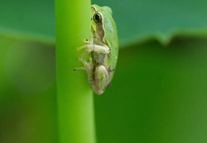 201307161202-DSC06028.jpg