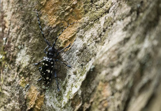 201307171033-DSC06258.jpg
