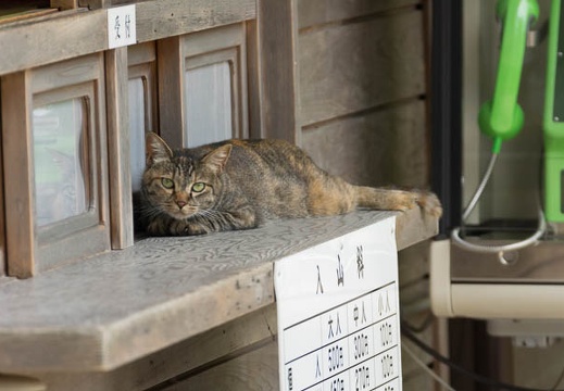 201307171036-DSC06262.jpg