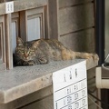 201307171036-DSC06262.jpg