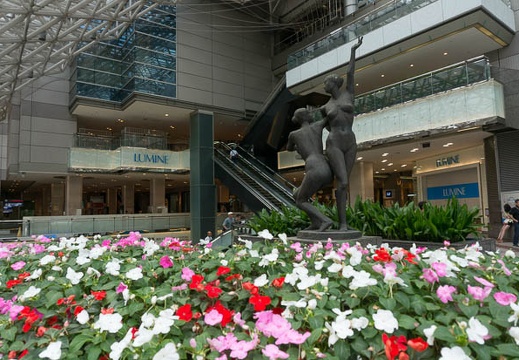 201307200935-DSC04516N.jpg
