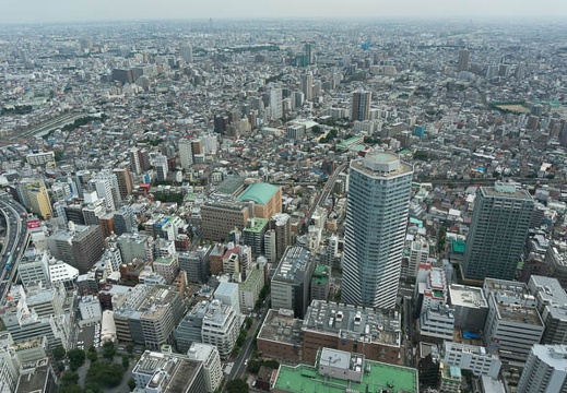201307201008-DSC04532N.jpg