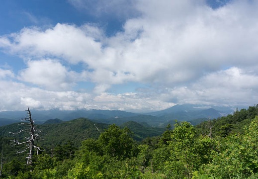 201307230854-DSC04714N.jpg