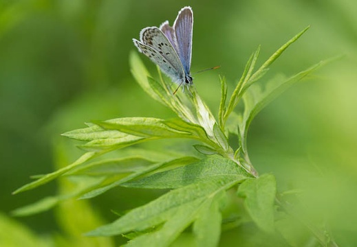 201307231007-DSC06659.jpg