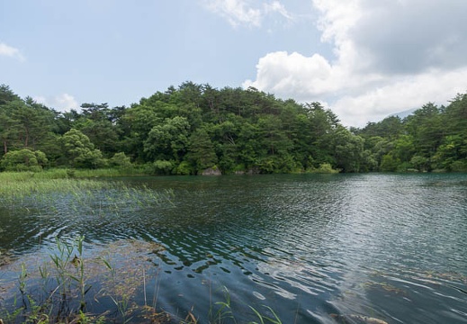 201307231106-DSC06726.jpg