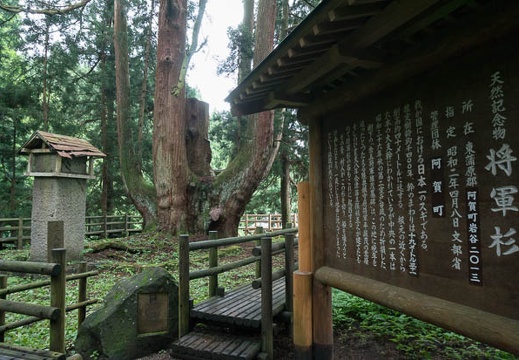 201307231450-DSC04760N.jpg
