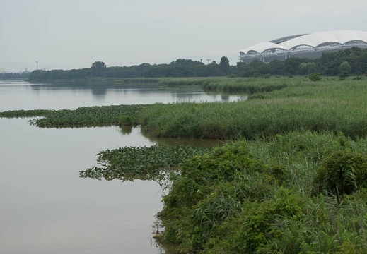 201307240941-DSC06835.jpg