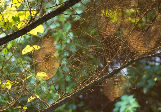 201308070522-DSC07160.jpg